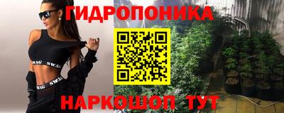молекула духа Гусев