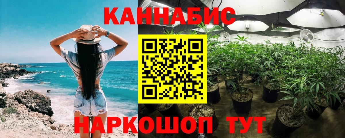 Марихуана OG Kush Малоярославец